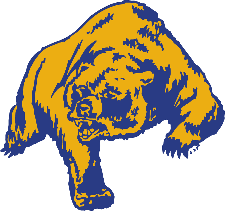 Northern Colorado Bears 1980-1998 Primary Logo diy DTF decal sticker